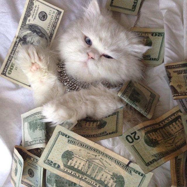 𝐃𝐀𝐈𝐋𝐘 𝐓𝐀𝐒𝐊 𝐓𝐈𝐊𝐓𝐎𝐊💰