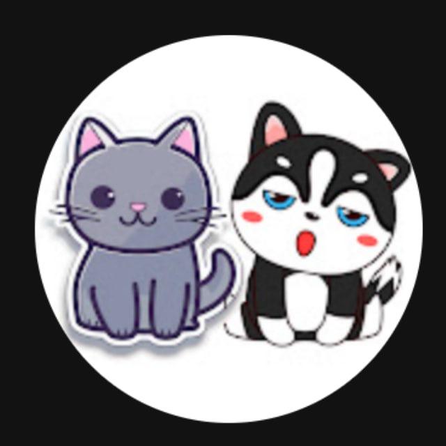幣星bitStar評估群