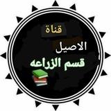 قناة الاصيل لقسم الزراعه