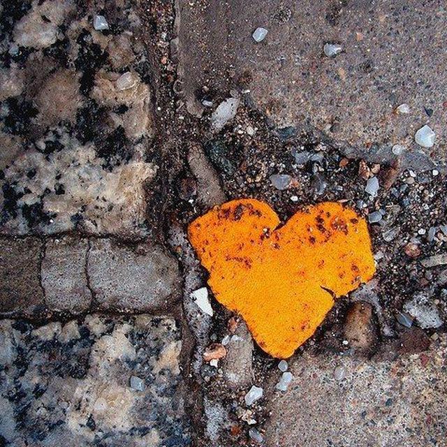 قلبِ نارنجی🧡