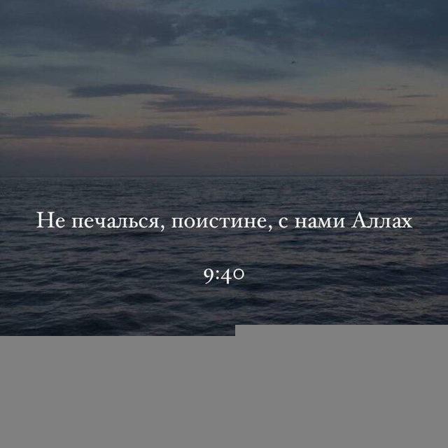 z.albch 🤍