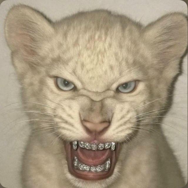 лаки