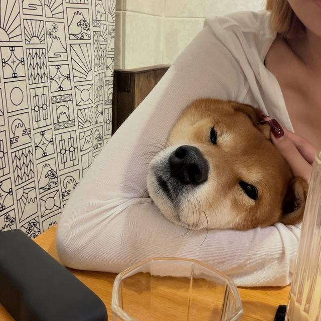水水的朋友圈