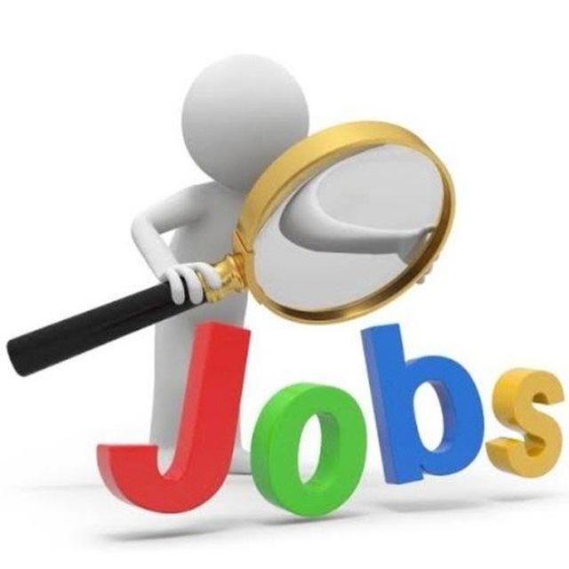 وظائف مصر - Egypt jobs