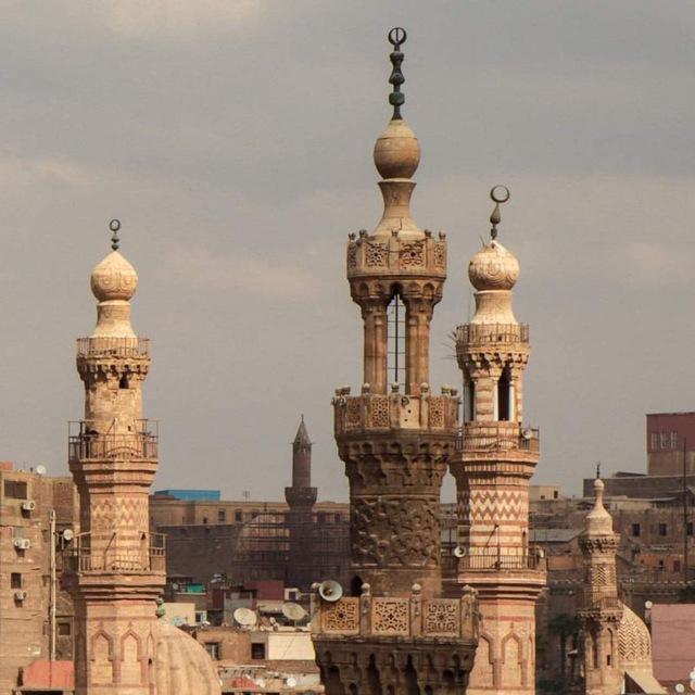 قناة كتب معلمي الاونلاين بكل التخصصات
