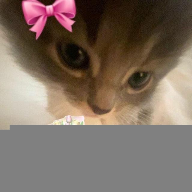 🥰𝕗𝕦𝕣𝕗𝕝𝕦𝕔𝕥𝕒🥰