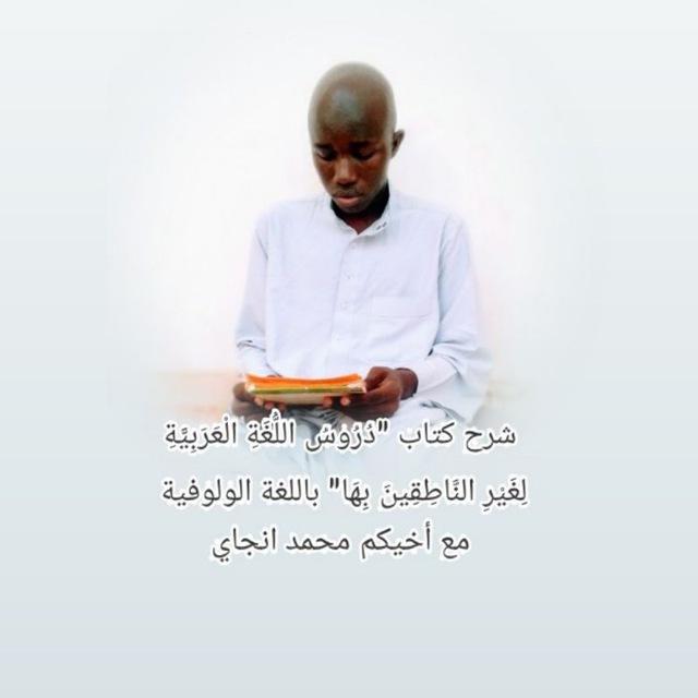 دروس اللغة العربية لغير الناطقين بها