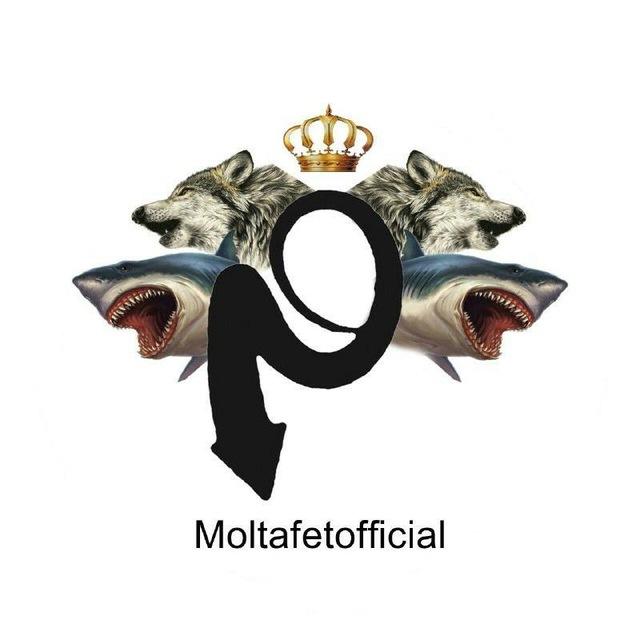 پرچم دار ملتفت🏳️