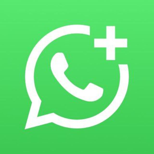 WhatsApp Business Beta Updates