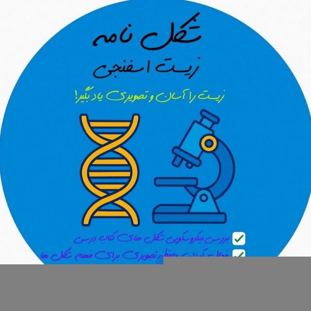 شکل نامهٔ زیست