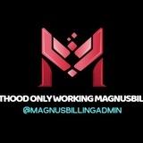 Methood only Working Magnusbiling