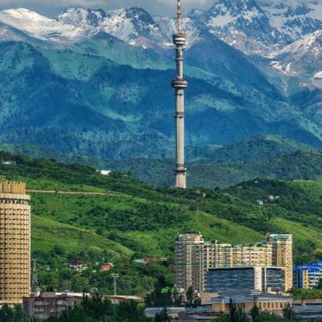 Подселение и Аренда квартир в Алматы