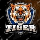 👉TIGER MUMBAI KING👌👌
