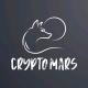 Crypto Mars