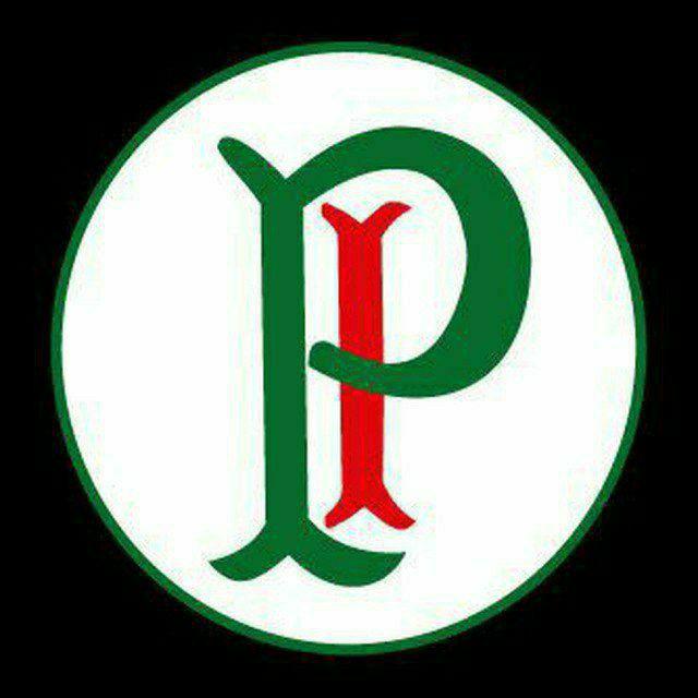 Chat Palmeiras Arquivo ⓟ 𓃟