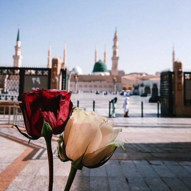 صَـلاحُ الأمَّـة من صَـلاحكِ!🌱