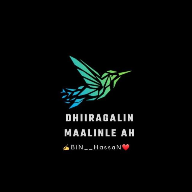 Dhiirigalin maaline ah❤️