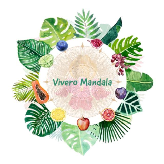Vivero Mandala