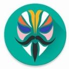 Magisk Module