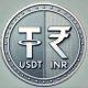 USDT INR Trading Nexus