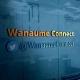 WANAUME CONNECT