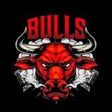 Bulls Network Official