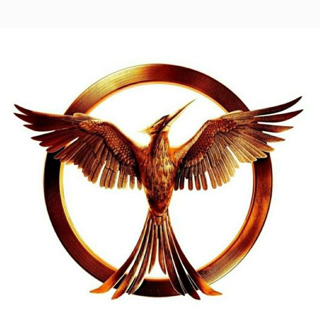 Phoenix Mentorship Official (GPSC mains by phoenix)