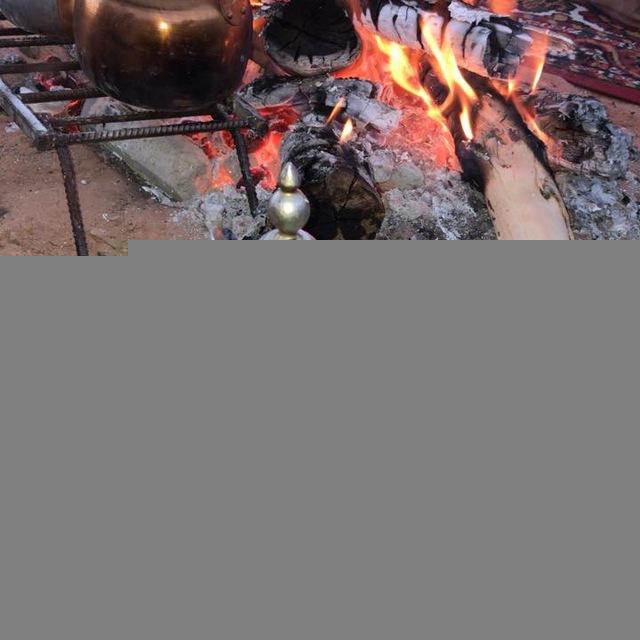شيلات وقصايد👍❤️