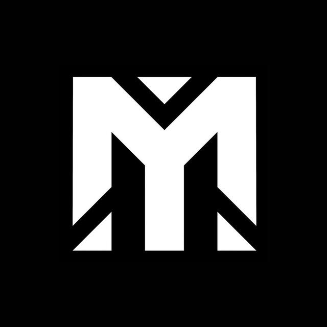 Mirrion Universe