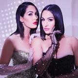 Nikki and Brie Bellas Twins