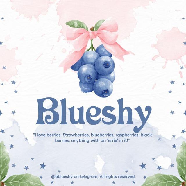 𓏲 ๋࣭ ࣪ “BLUESHY” 𐚈 ‣ GALLERY 향기!