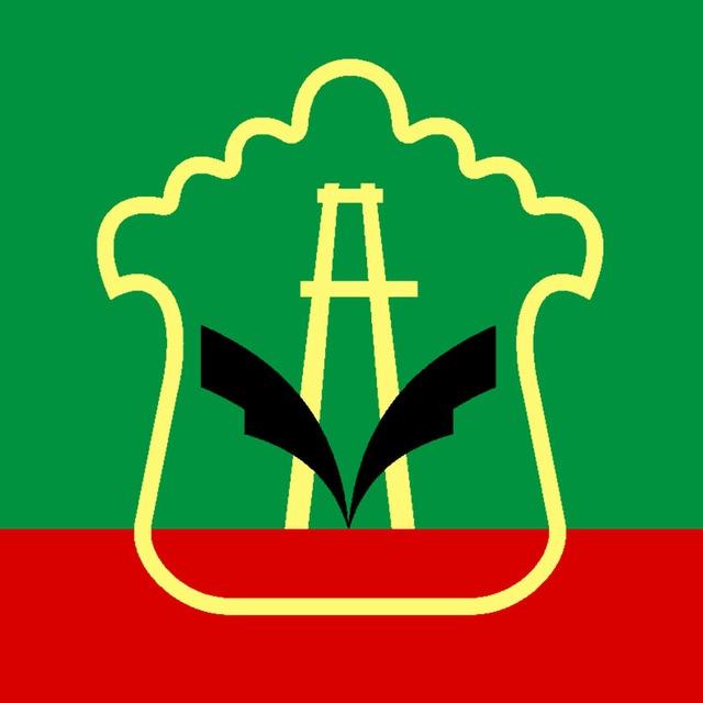 Светлый Альметьевск