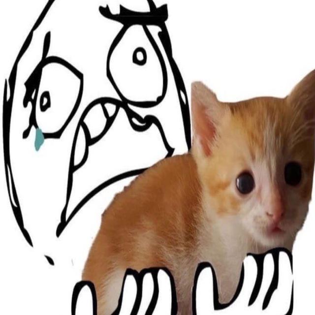 юрик