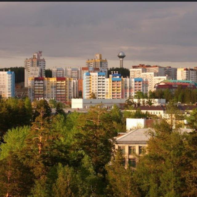 в члб области любят