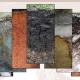Soil Science JRF, SRF, NET, & ARS