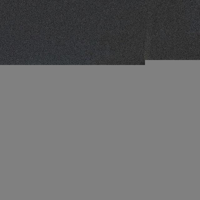 ISEV1L