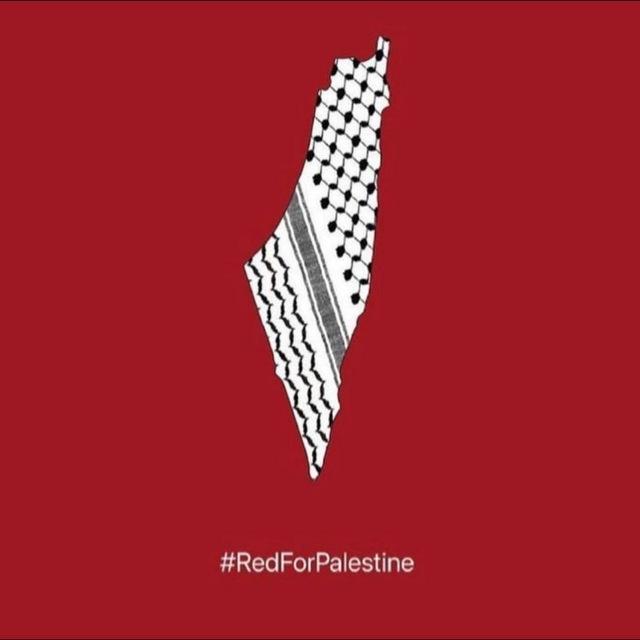 Palestine in english 🇵🇸❤️
