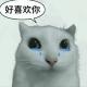 你離我好远