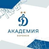 Воронеж – Академия «Динамо» им. Л.И. Яшина