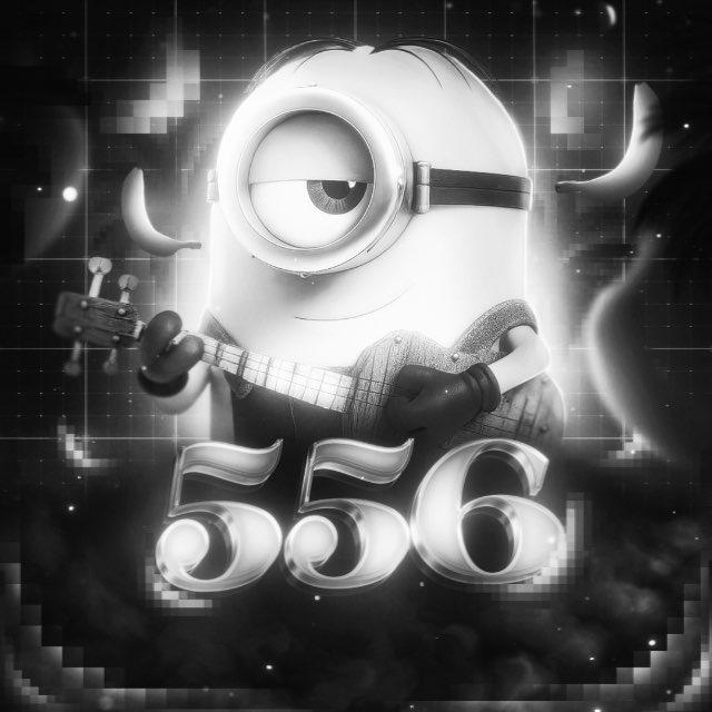 556 Shop