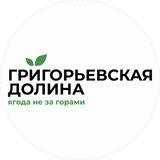 Григорьевская долина