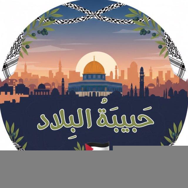 حَبيبَةُ البِلاد 𓂆.