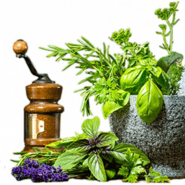 Clean Body Essentials