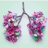 🫁Respiratory therapy / علاج تنفسي