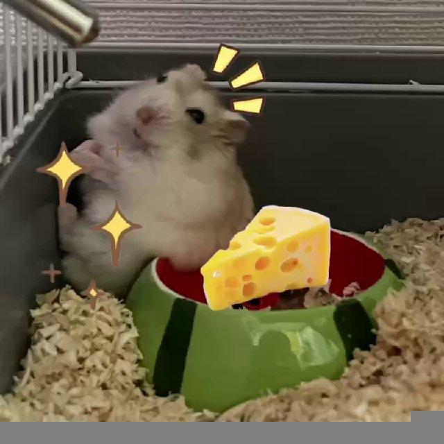 Сырный Чиз🧀