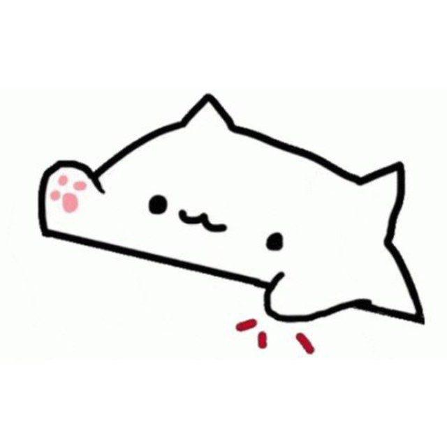 Official BONGO Channel | Update