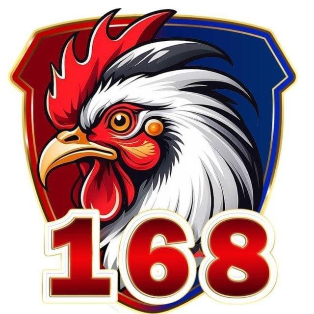 សង្វៀន V168 -មាន់ជល់ VIP🐓