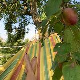 Gastgeber, Urlaub/Wohnen gegen Hand, Homeexchange & Ehrliches Mitteilen