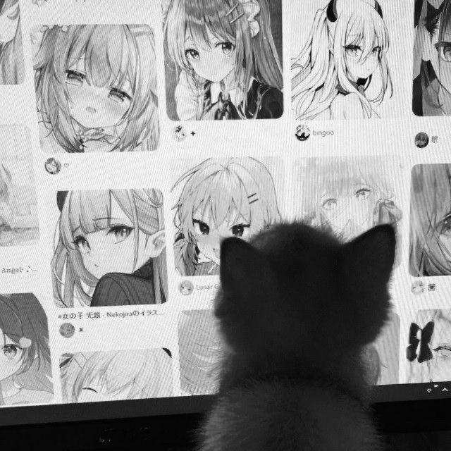Cat stock1