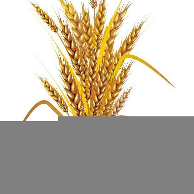 Prosperity Party - ብልፅግና